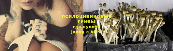 кристаллы Алзамай
